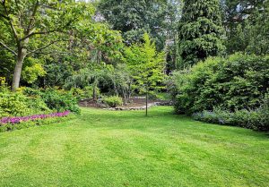 Optimiser l'expérience du jardin à Bouvelinghem